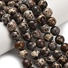 Natural Astroite Jasper Beads Strands G-H329-C02-8mm-1