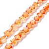 Transparent Glass Beads Strand X1-GLAA-F112-04F-1