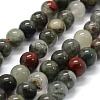 Natural African Bloodstone Beads Strands X-G-G763-08-8mm-1