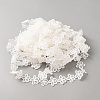Polyester Lace Ribbon OCOR-WH0111-138C-2
