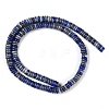 Natural Lapis Lazuli Beads Strands G-Q159-B07-01-3