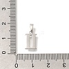 304 Stainless Steel Micro Pave Cubic Zirconia Pendants STAS-H228-02P-02-3