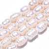 Natural Cultured Freshwater Pearl Beads Strands PEAR-N012-06R-4