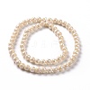 Electroplate Glass Beads Strands X-GLAA-E036-14A-3