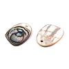 Natural Paua Shell Nuggets Charms SHEL-T020-11B-2