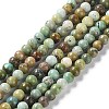 Natural HuBei Turquoise Beads Strands G-M411-A01-01-1