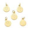 Golden Plated 304 Stainless Steel Charms STAS-C022-01A-G-1