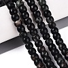 Natural Biotite Beads Strands G-Q616-02A-12-1