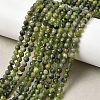 Natural Green Jade Beads Strands G-P603-C-4mm-03AB-1