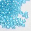 FGB Glass Seed Beads SEED-R025-04-2
