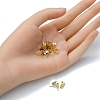 20Pcs 304 Stainless Steel Stud Earring Findings STAS-YW0001-42C-5
