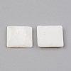 Natural Freshwater Shell Cabochons LS-SHEL-R049-019-2