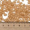 Transparent Colours Glass Seed Beads SEED-F006-03A-10-4