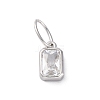 925 Sterling Silver Cubic Zirconia Charms STER-NH0014-01P-04-1