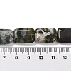 Natural Indian Agate Beads Strands G-T047-B25-01-5