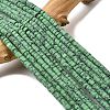 Dyed Synthetic Turquoise Beads Strands G-Z089-A04-J-2