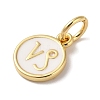 Real 18K Gold Plated Brass Enamel Charms KK-L216-001G-G-3