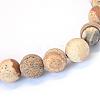 Frosted Natural Picture Jasper Round Bead Strands G-E334-10mm-26-2