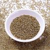 MIYUKI Delica Beads X-SEED-J020-DB2155-2