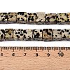 Natural Dalmatian Jasper Beads Strands G-T139-8x8-17A-5