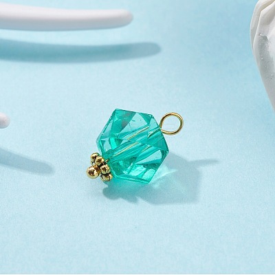 Transparent Acrylic Pendants PALLOY-JF00752-1