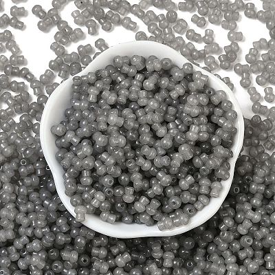 Transparent Colours Glass Seed Beads SEED-R001-01L-1