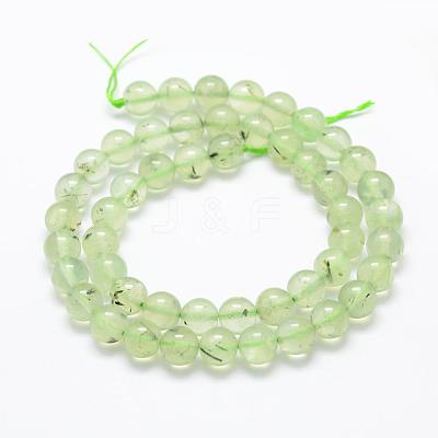 Natural Prehnite Beads Strands G-P322-47-8mm-1