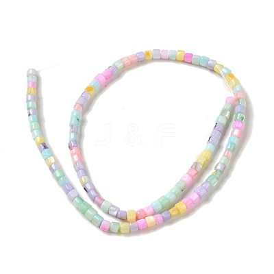 Rainbow Color Dyed Natural Freshwater Shell Beads Strands SHEL-G018-02D-1