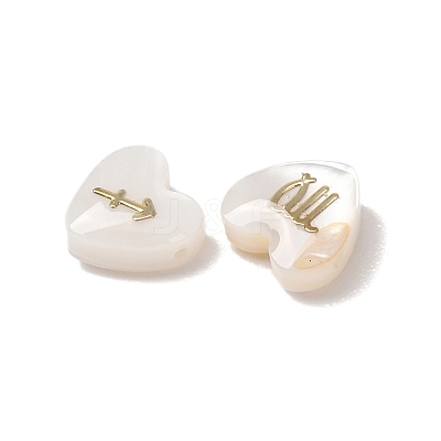12Pcs 12 Styles Natural Freshwater Shell Beads SH-CBAD3AC-07-1