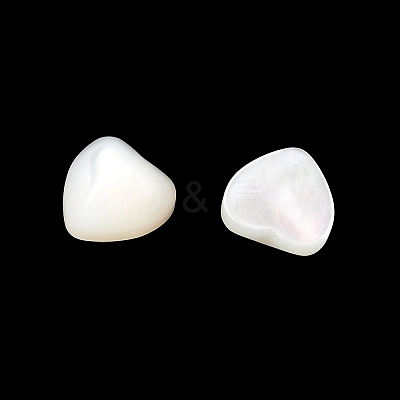Natural White Shell Cabochons BSHE-H001-05-1