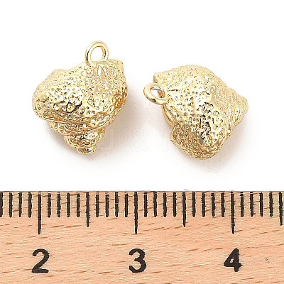 Brass Charms KK-C054-09G-1