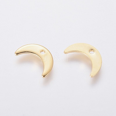 304 Stainless Steel Charms STAS-L234-073G-1