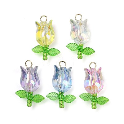 5Pcs Acrylic Pendants PALLOY-JF03535-01-S-1