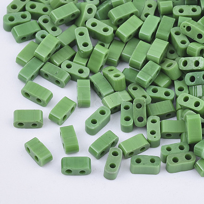 FGB 2-Hole Glass Seed Beads X-SEED-S031-M-047-1