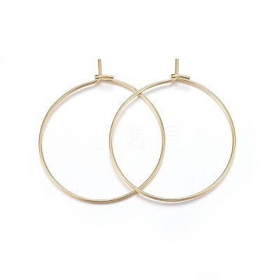 316 Surgical Stainless Steel Hoop Earrings X-STAS-P210-26G-02-1
