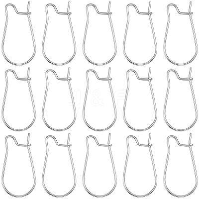 60Pcs 316 Surgical Stainless Steel Hoop Earrings Findings STAS-BBC0010-02-1