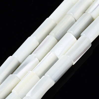 Natural Trochid Shell/Trochus Shell Beads Strands SSHEL-S266-020A-02-1