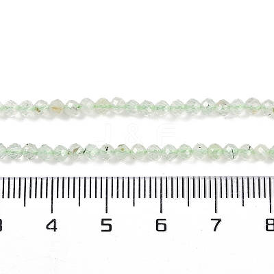 Natural Prehnite Beads Strands G-G139-A05-02-1