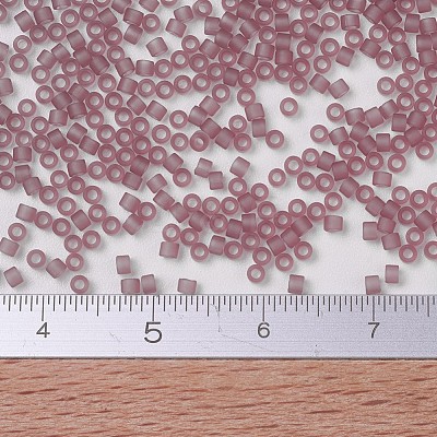 MIYUKI Delica Beads X-SEED-J020-DB0765-1