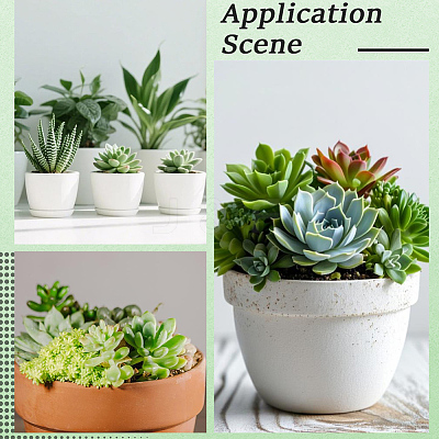 PVC Artificial Succulent Plant AJEW-SP0004-35B-1