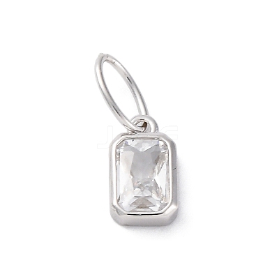 925 Sterling Silver Cubic Zirconia Charms STER-NH0014-01P-04-1