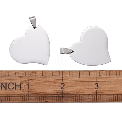 Tarnish Resistant 304 Stainless Steel Pendants STAS-I140-11S-1