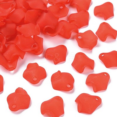 Transparent Acrylic Beads MACR-S373-106-D01-1