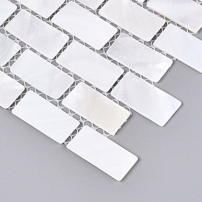 Natural Freshwater Shell Mosaic Tile Cabochons SHEL-Q029-07-1