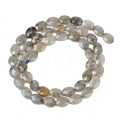 Natural Labradorite Beads Strands G-H349-A01-03-1