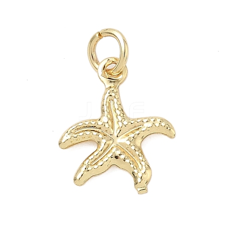 Brass Charms KK-K368-07A-G-1