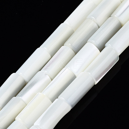 Natural Trochid Shell/Trochus Shell Beads Strands SSHEL-S266-020A-02-1