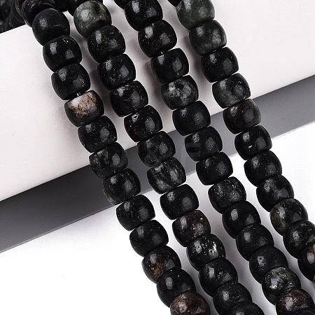 Natural Biotite Beads Strands G-Q616-02A-12-1