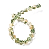 Inner Flower Handmade Lampwork Beads Strands LA-CBA3F7A-02F-2