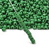 TOHO 6/0 Round Beads SEED-TR06-0047D-2